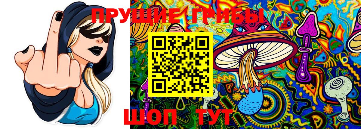 Галлюциногенные грибы GOLDEN TEACHER  Вход с VPN  Усолье-Сибирское 